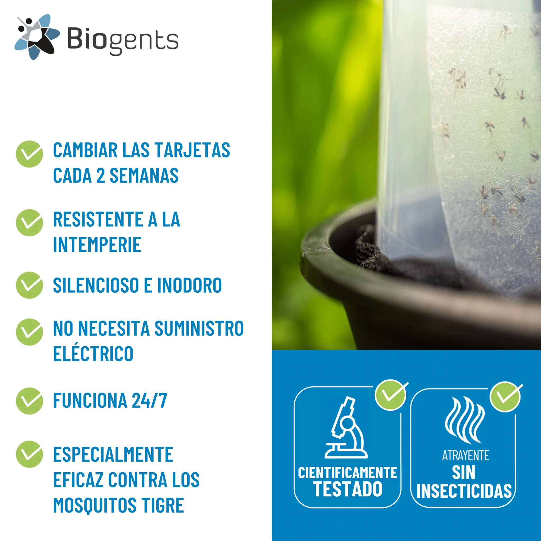Imagen del producto 5