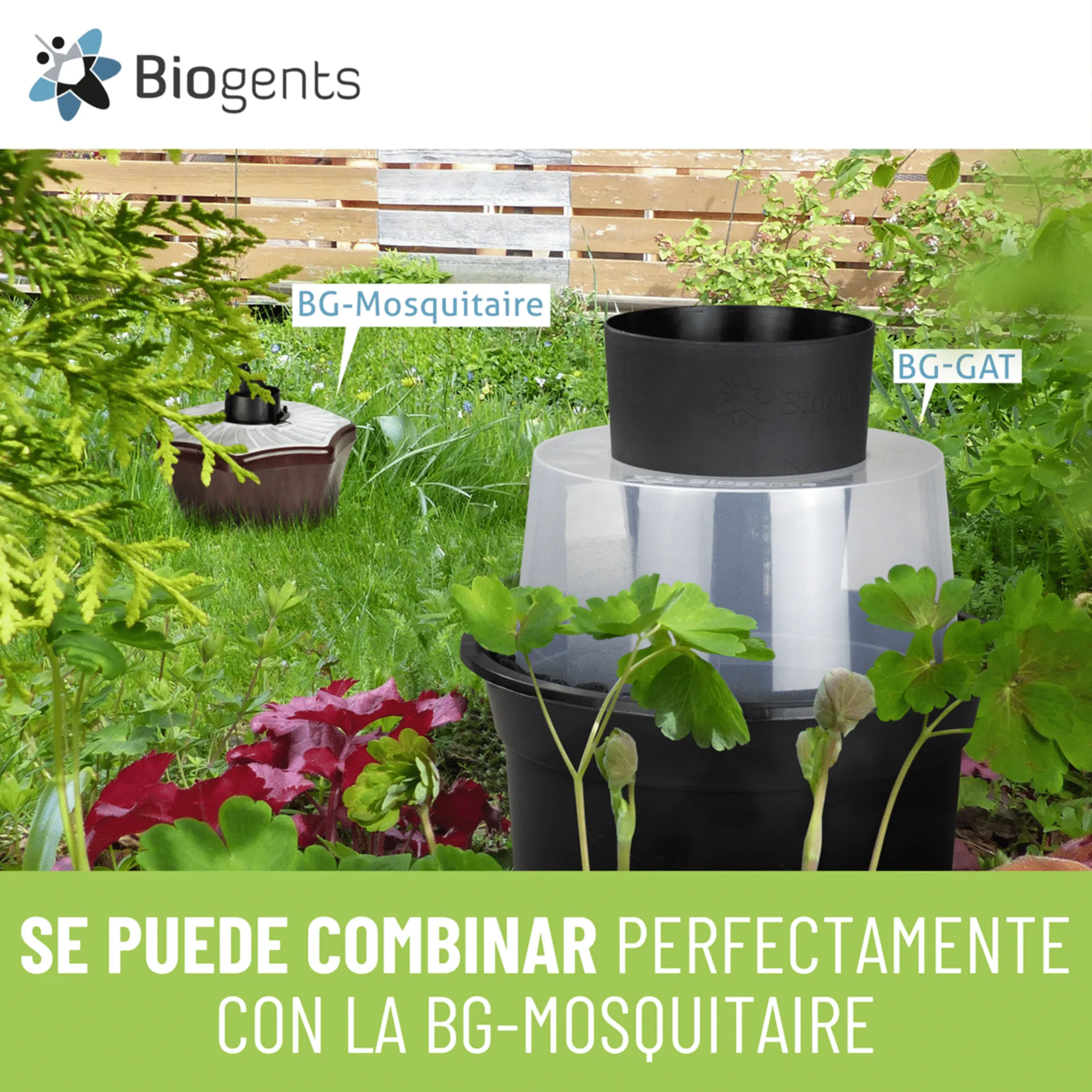 Imagen del producto 7