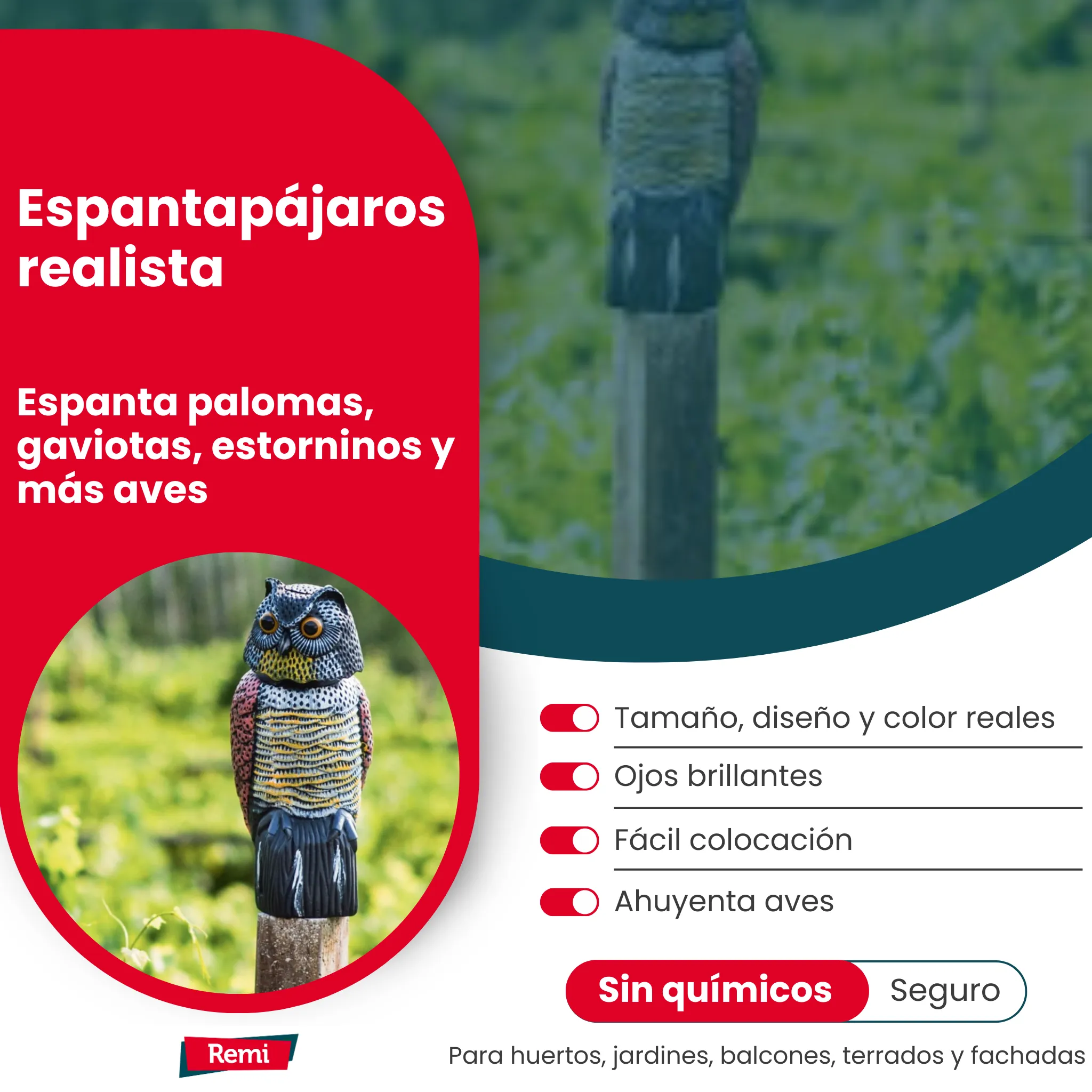 Imagen del producto 6