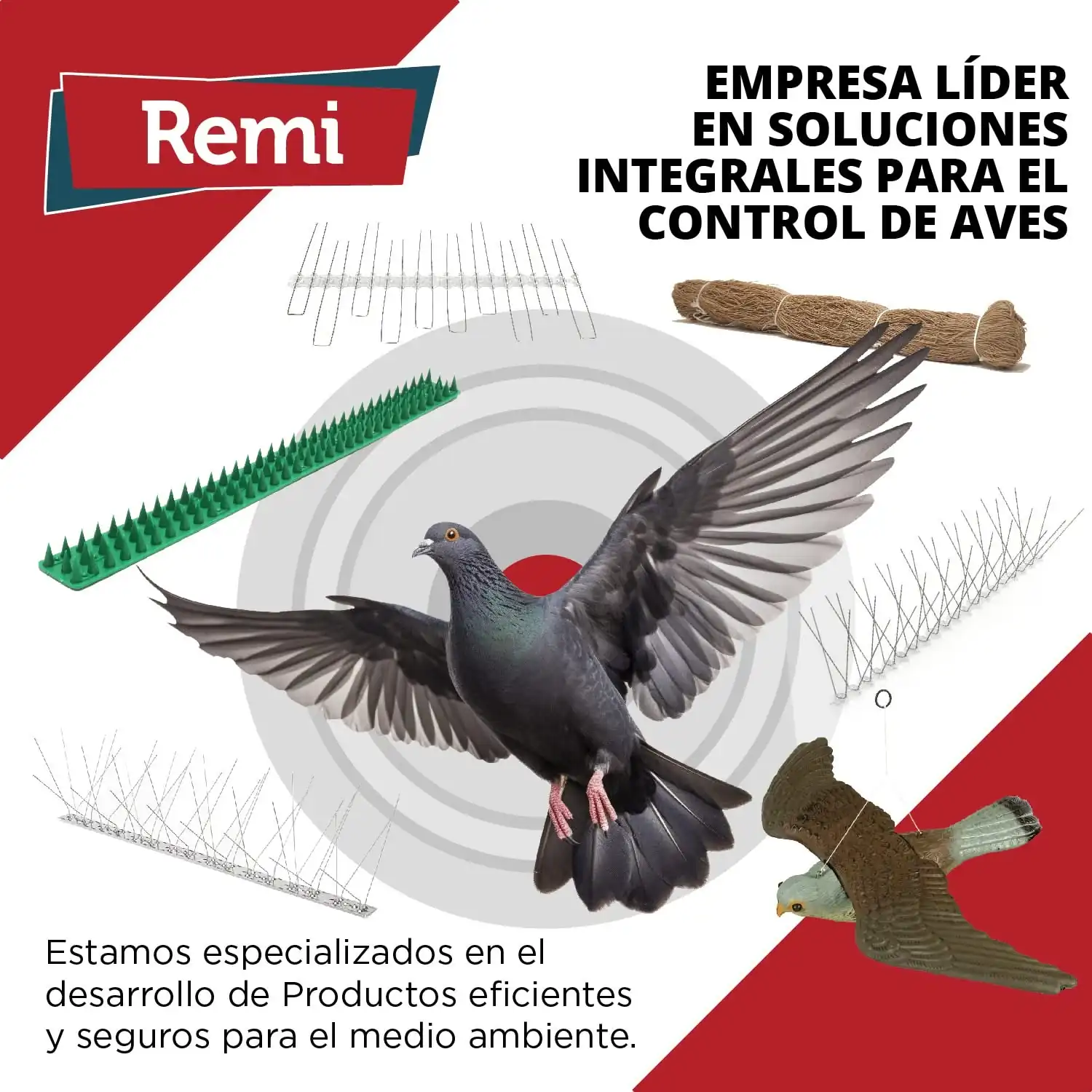 Imagen del producto 8