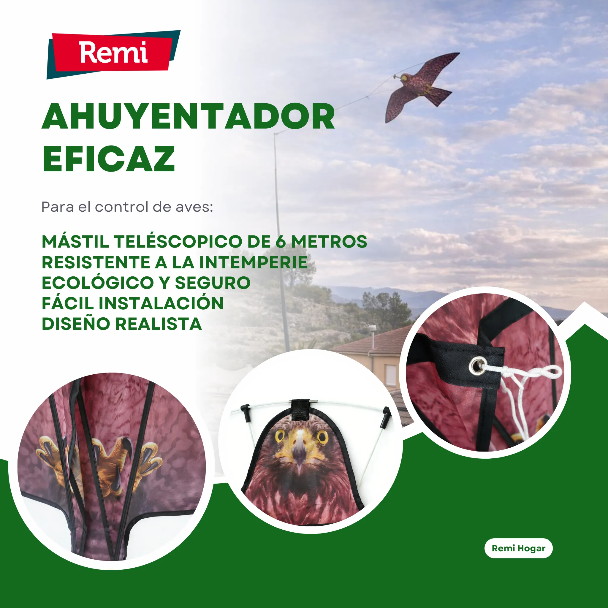 Imagen del producto 5