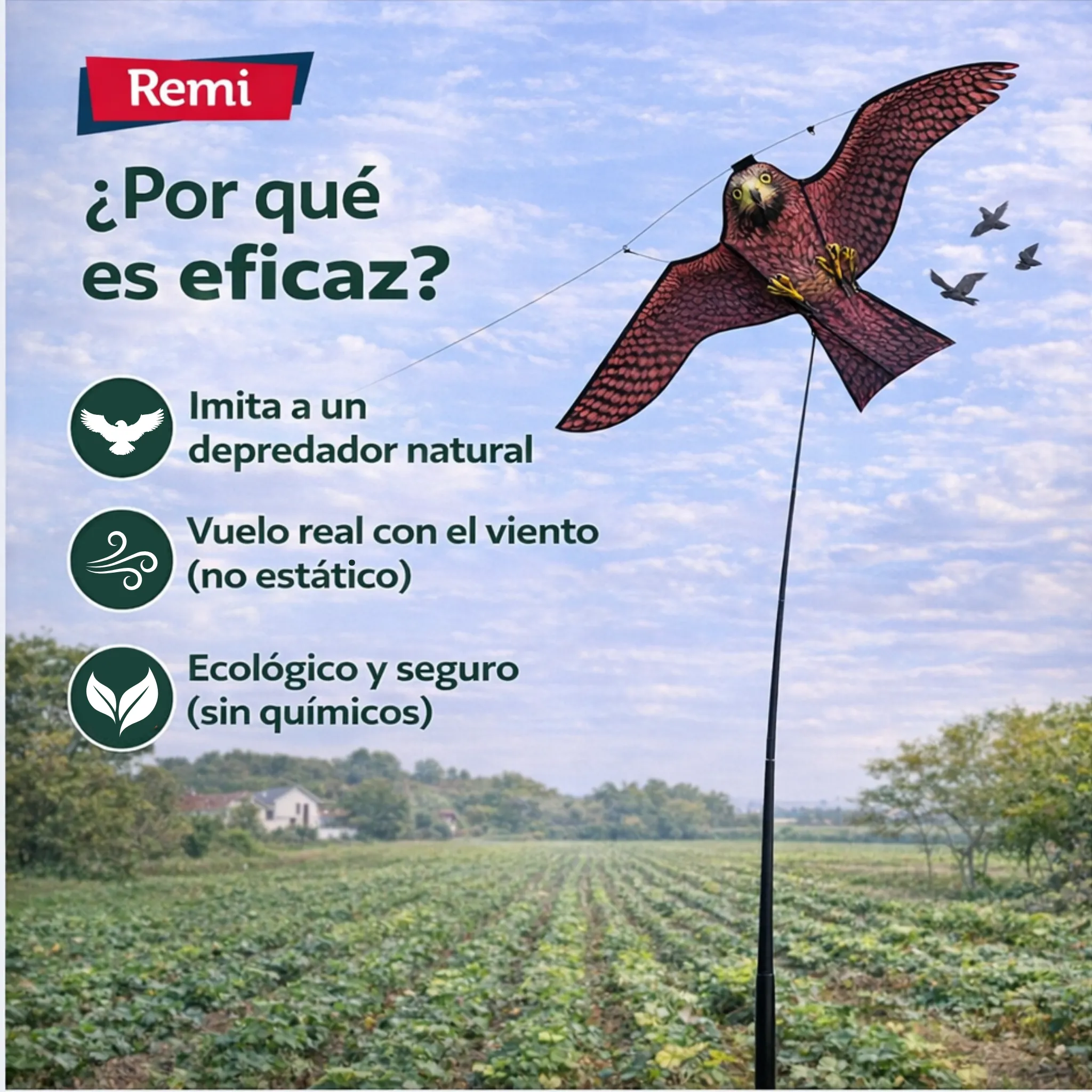 Imagen del producto 6