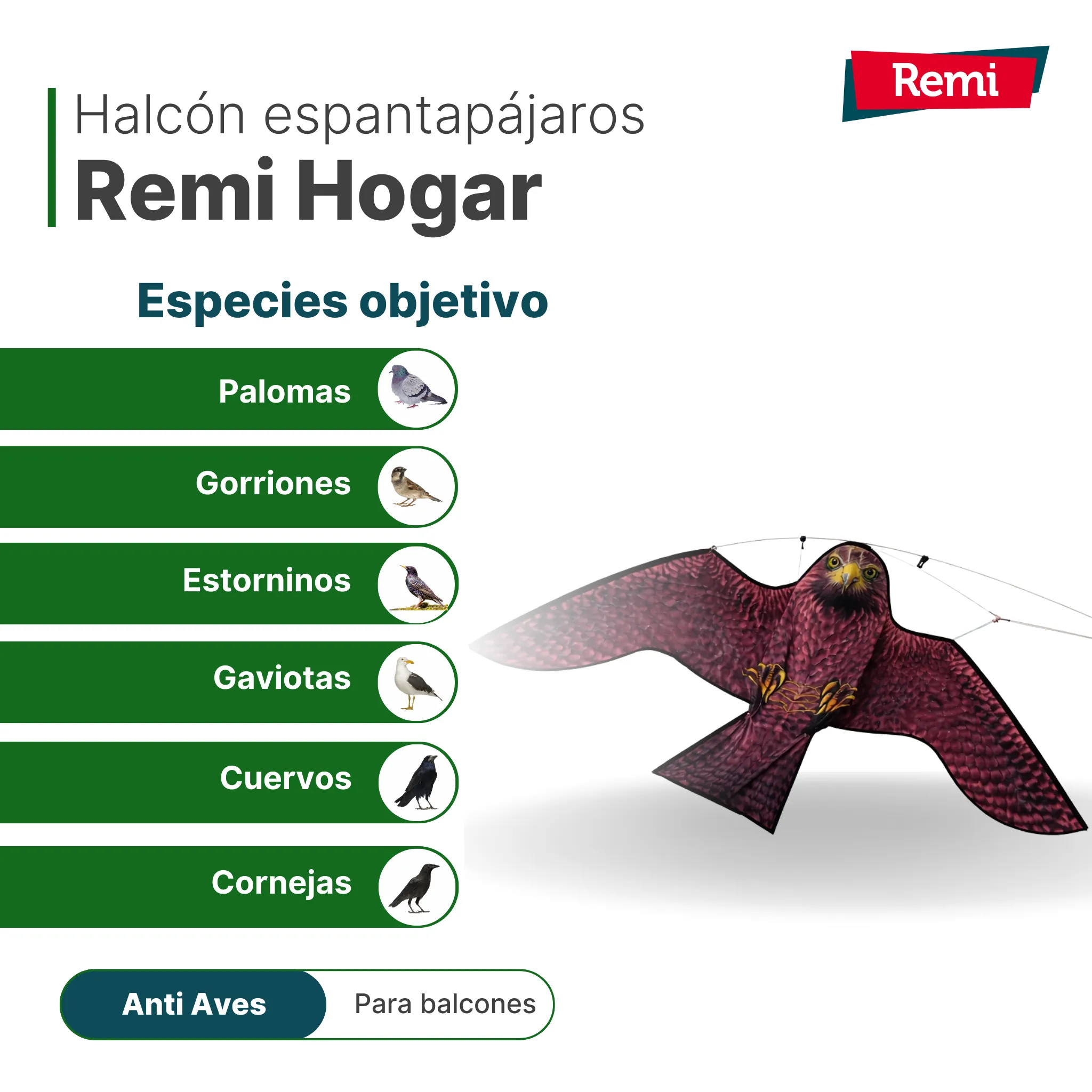 Imagen del producto 8