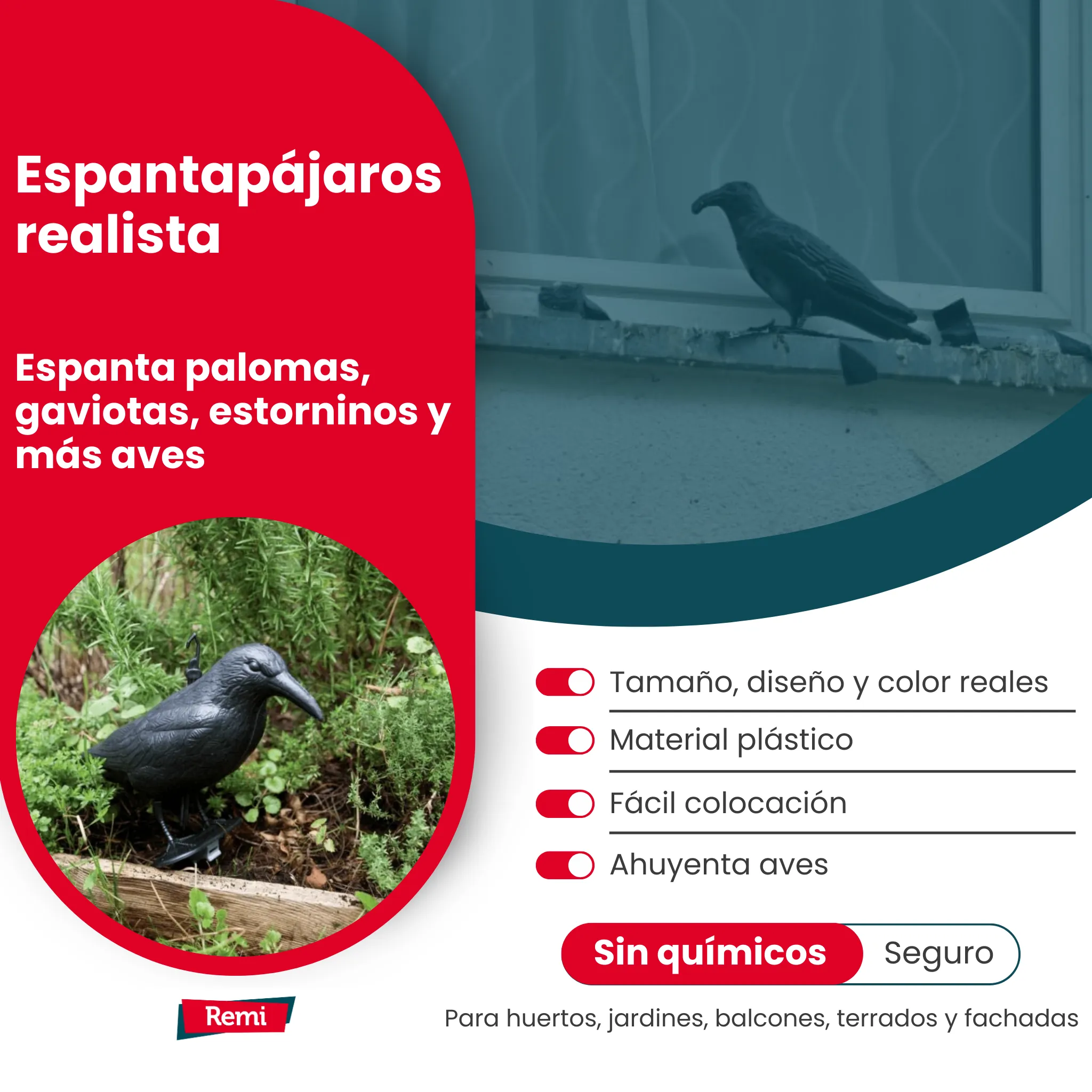 Imagen del producto 5