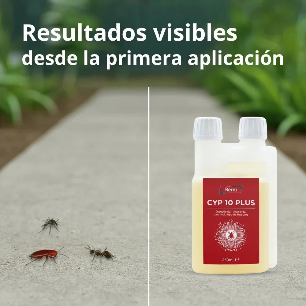 Imagen del producto 7