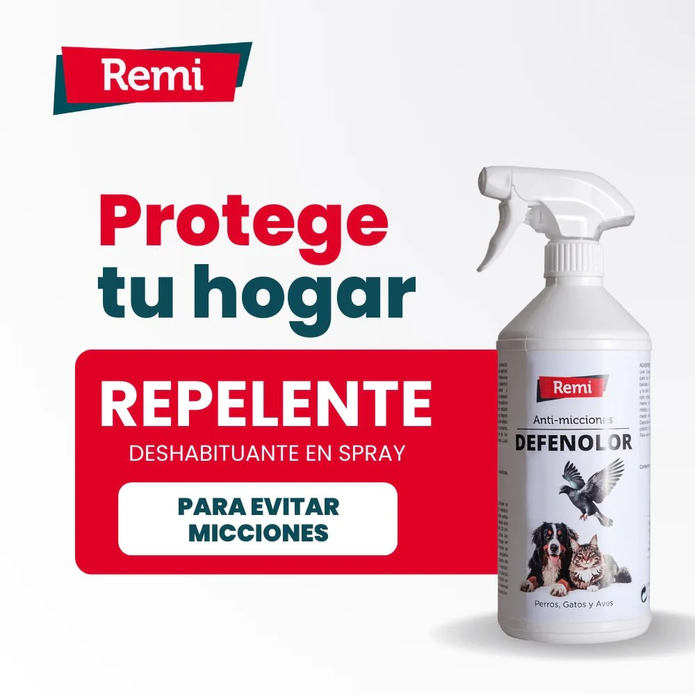 Imagen del producto 7