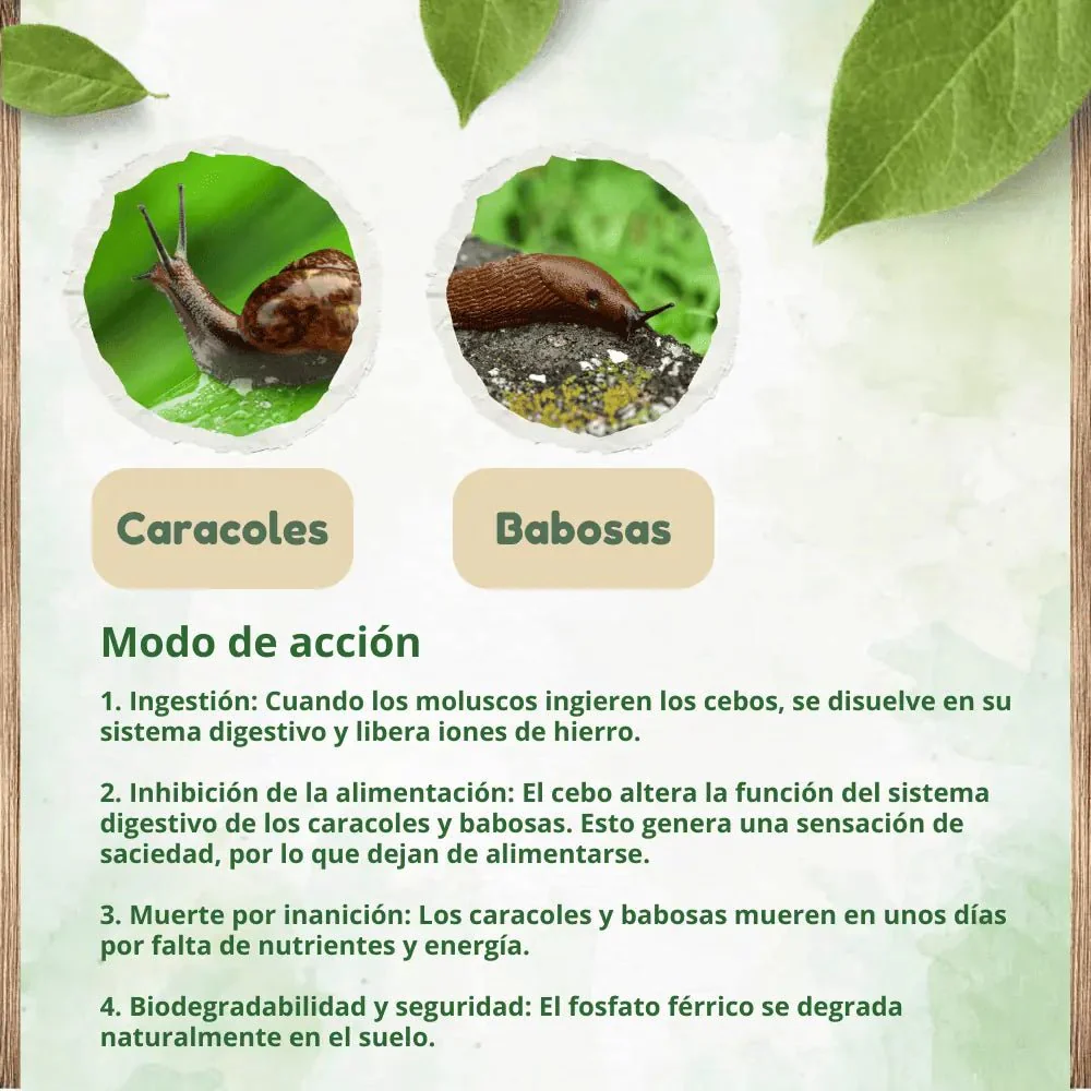 Imagen del producto 4