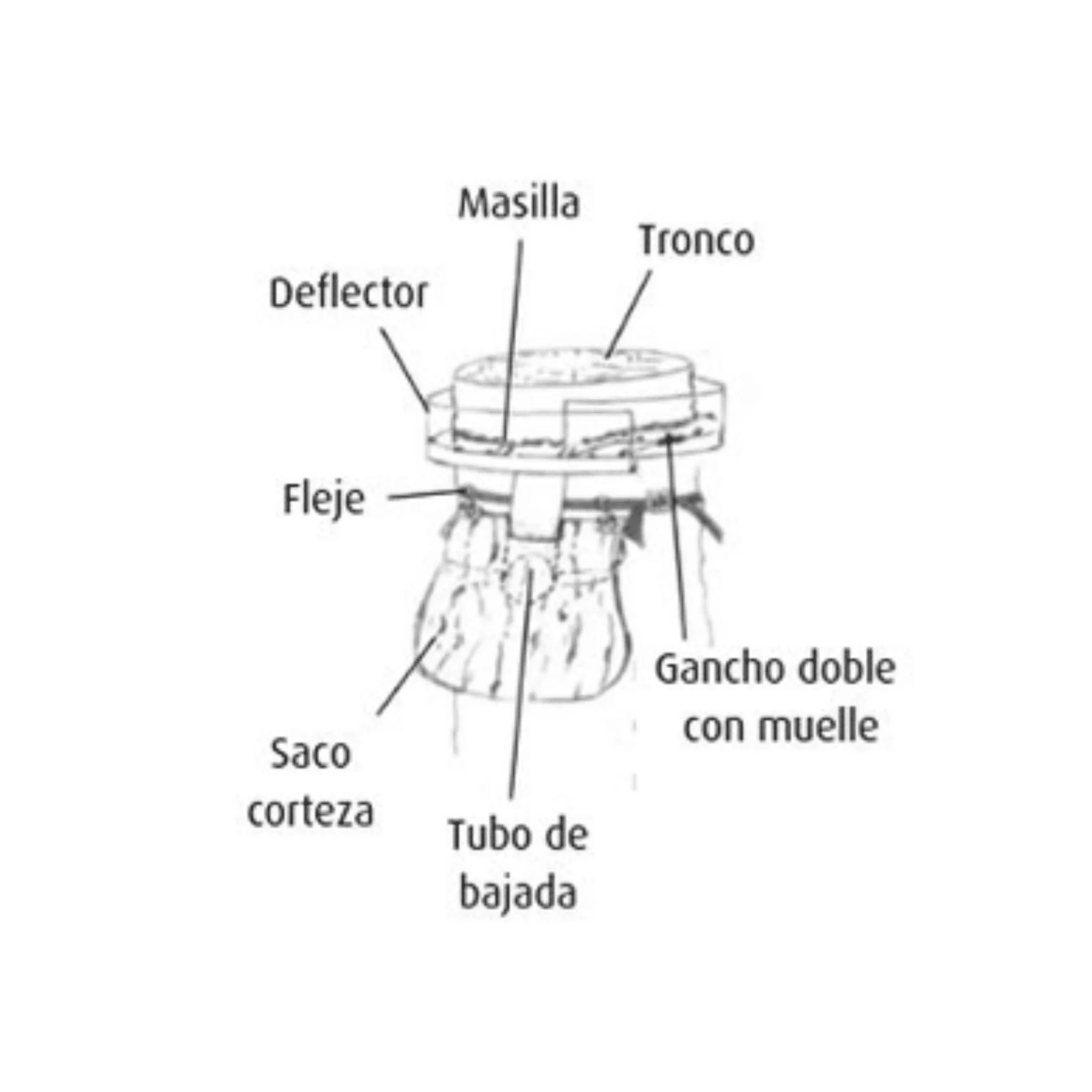 Imagen del producto 7