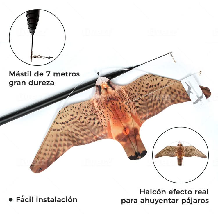 Imagen del producto 4