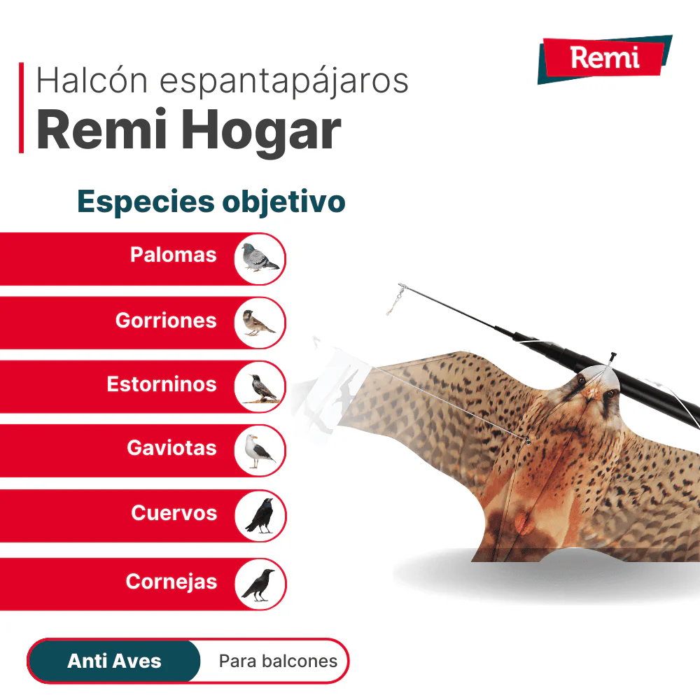 Imagen del producto 5
