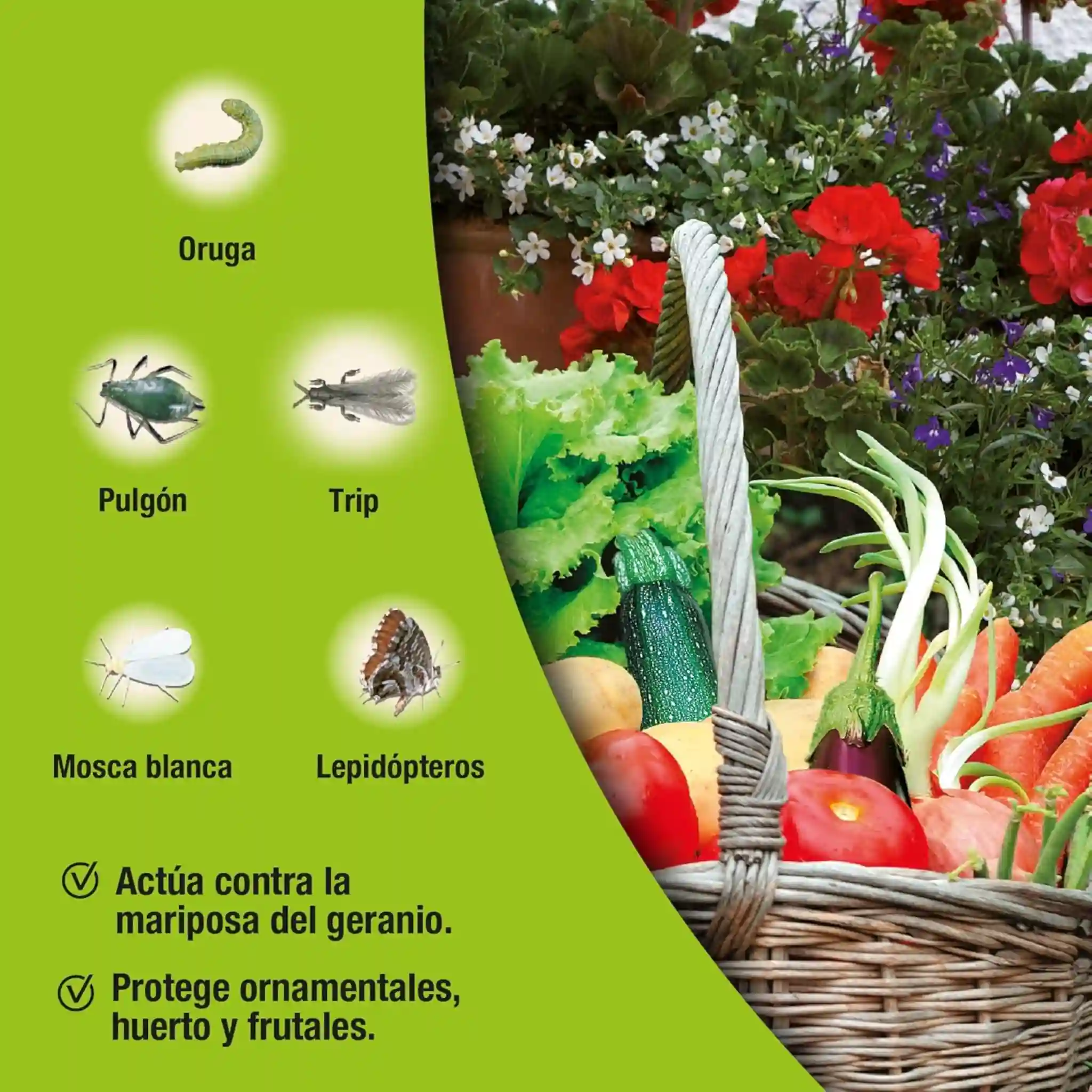 Imagen del producto 3