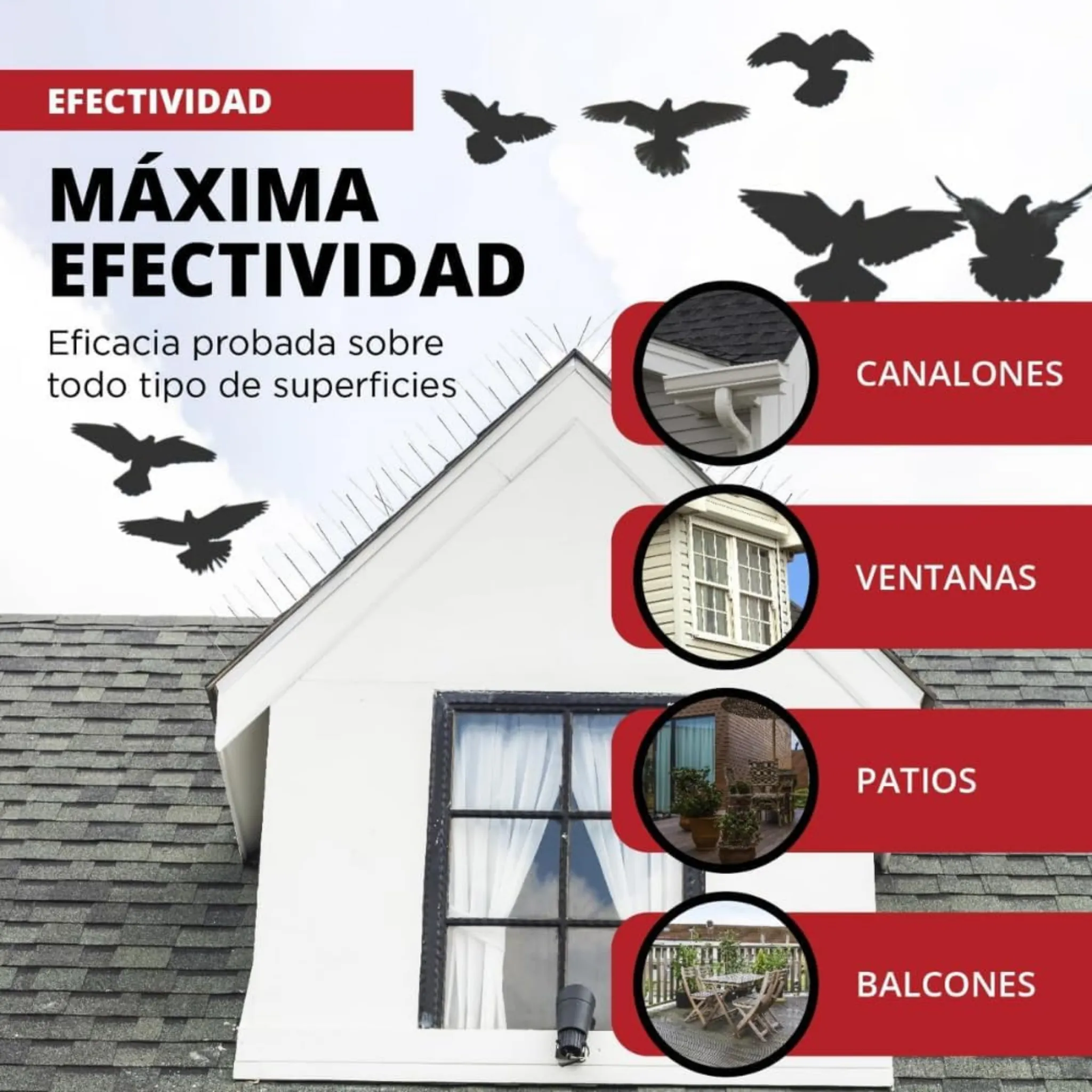Imagen del producto 13