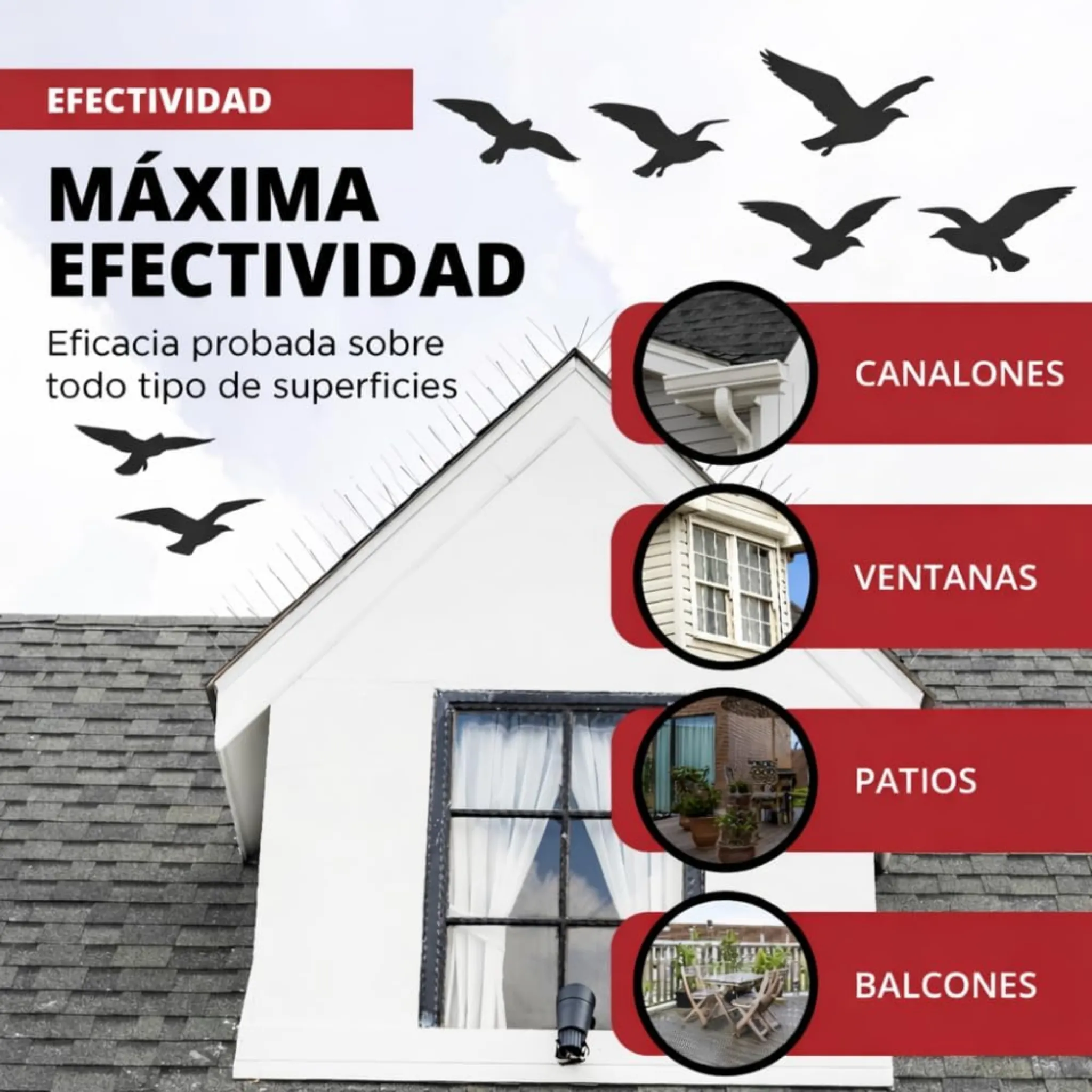 Imagen del producto 4