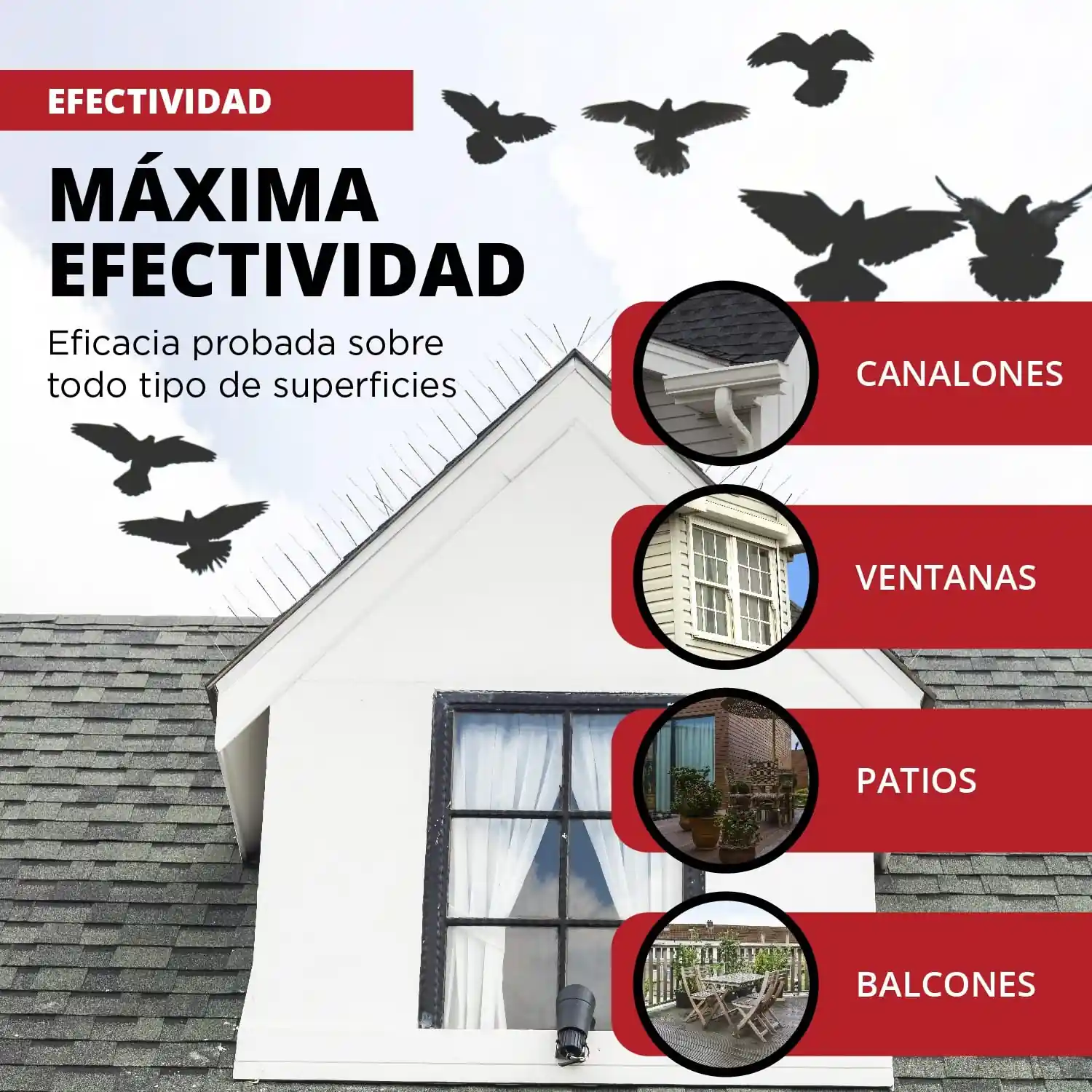 Imagen del producto 7