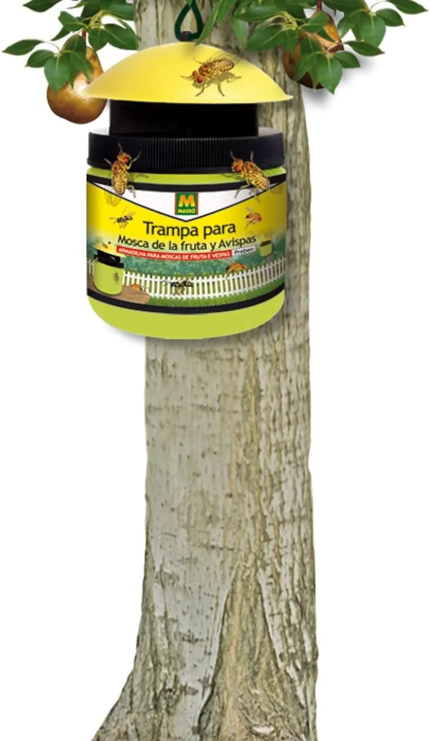 Imagen del producto 4