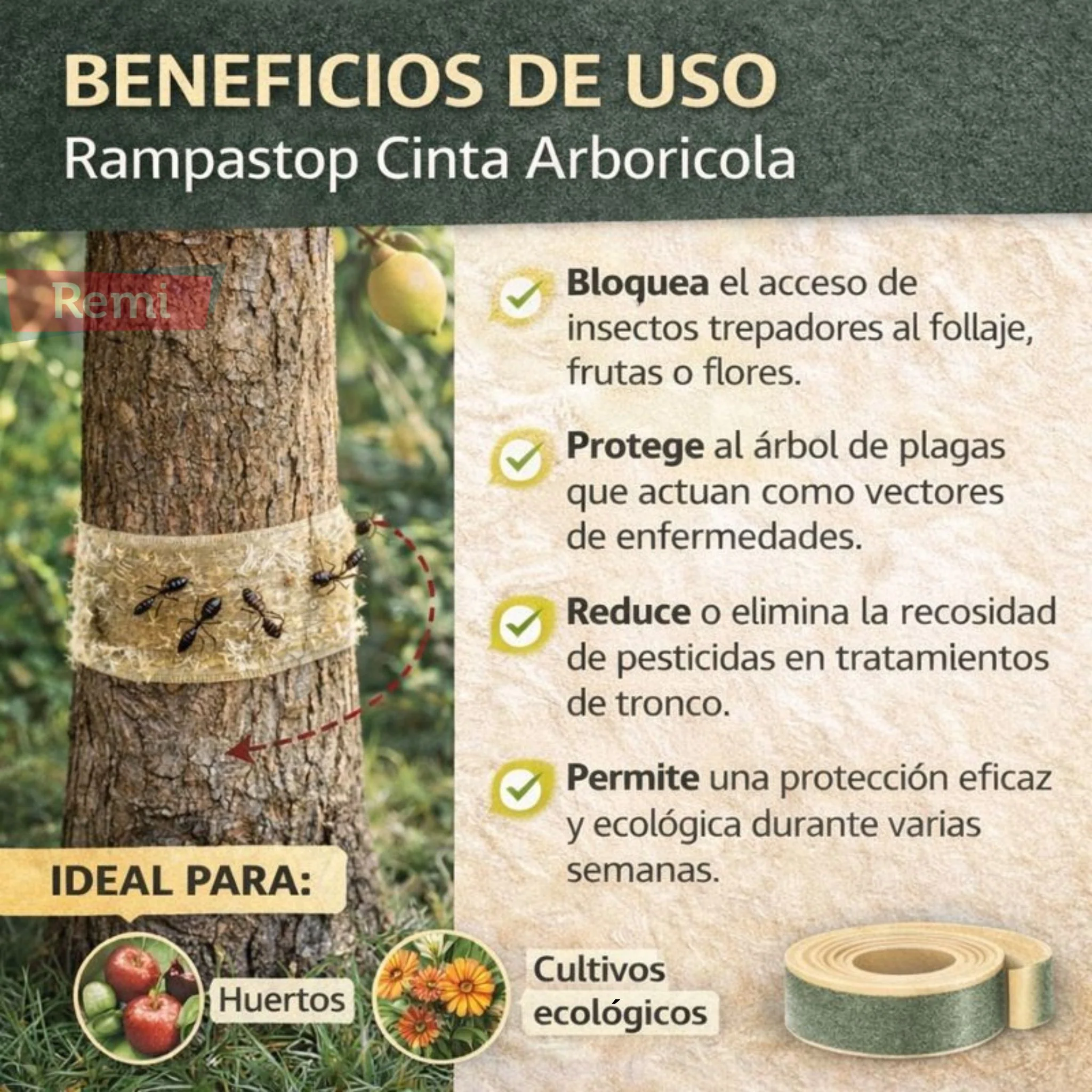 Imagen del producto 4