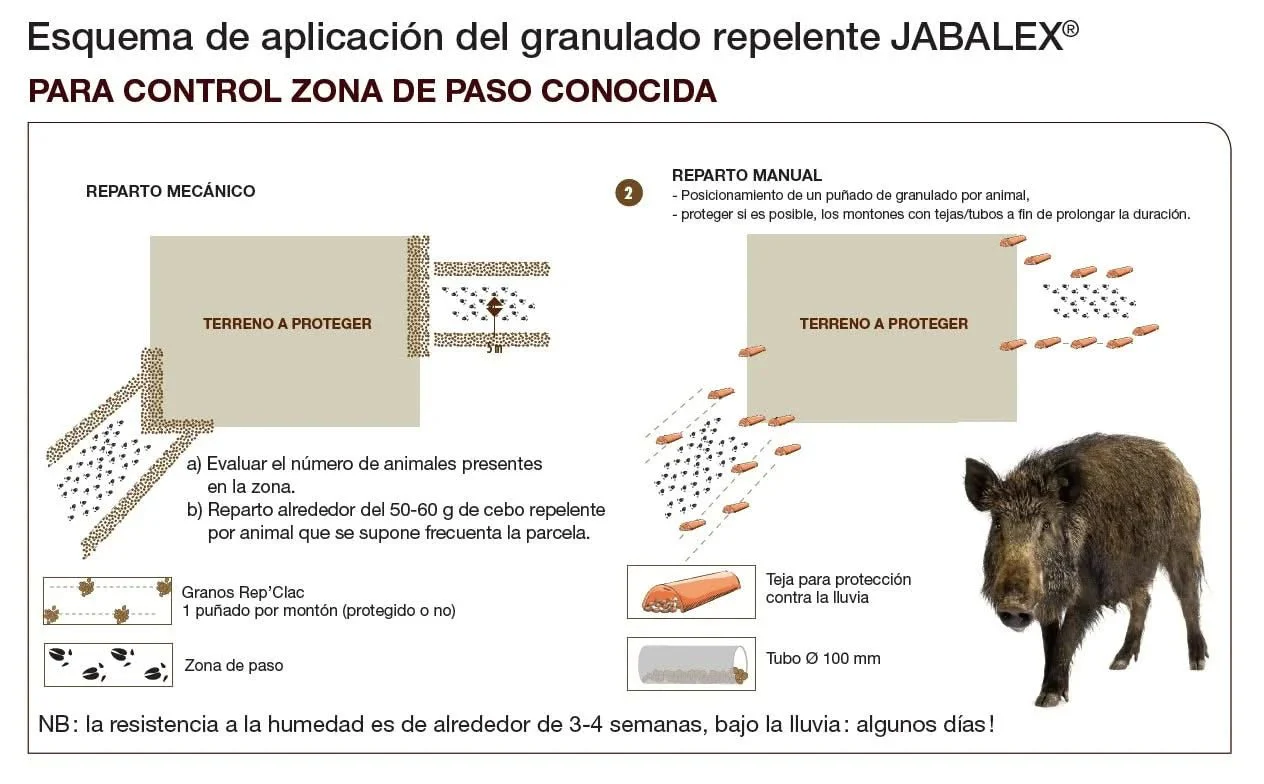 Imagen del producto 4