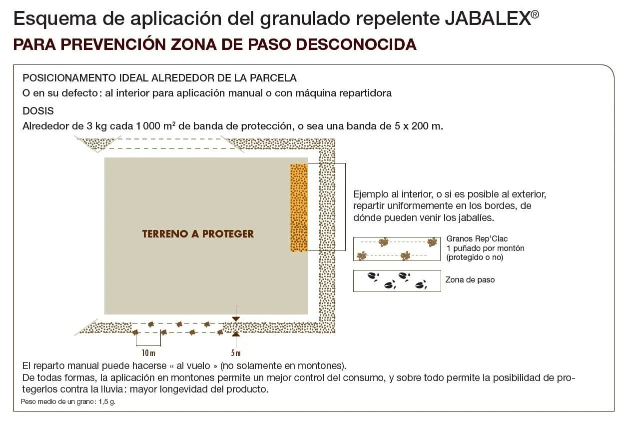 Imagen del producto 5