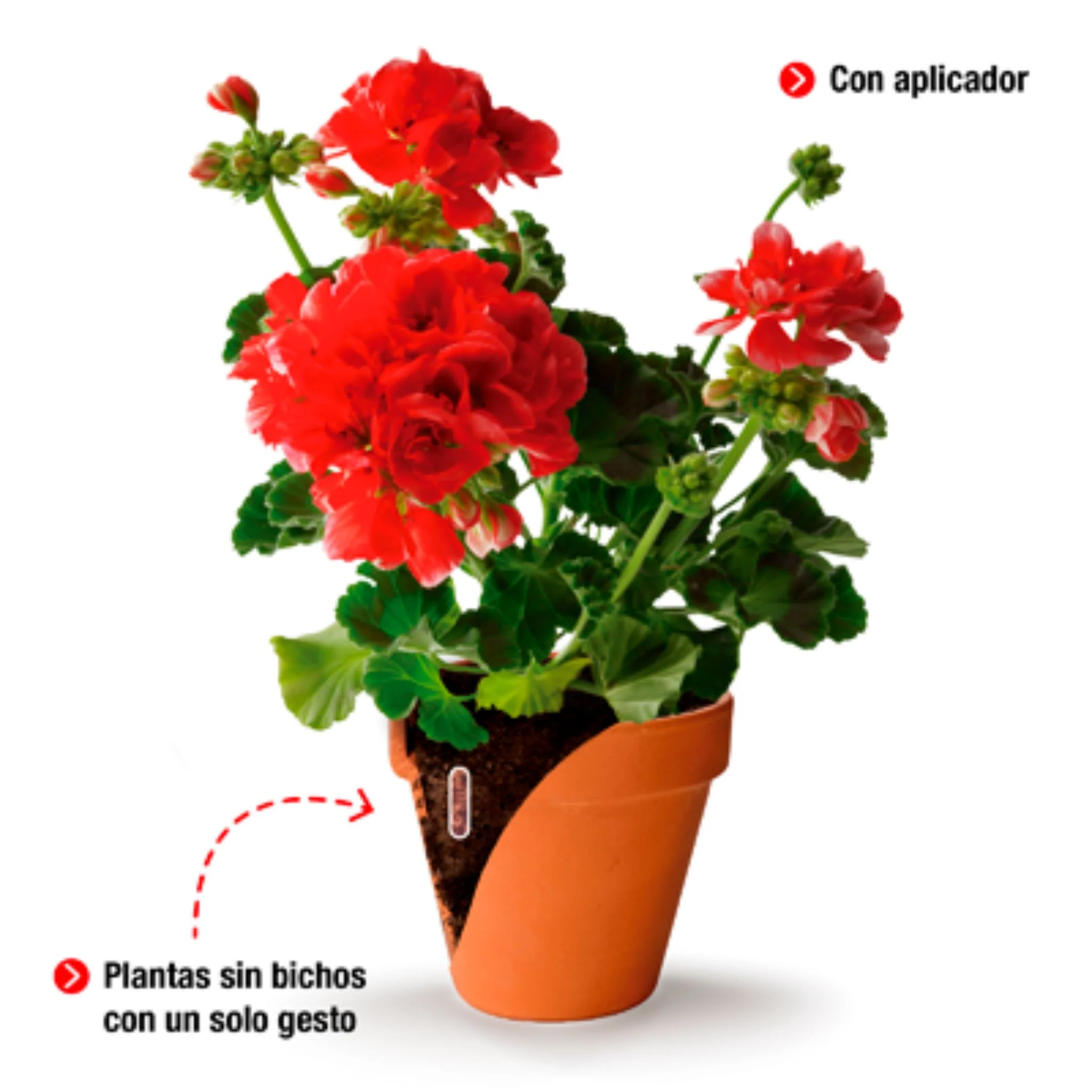 Imagen del producto 4