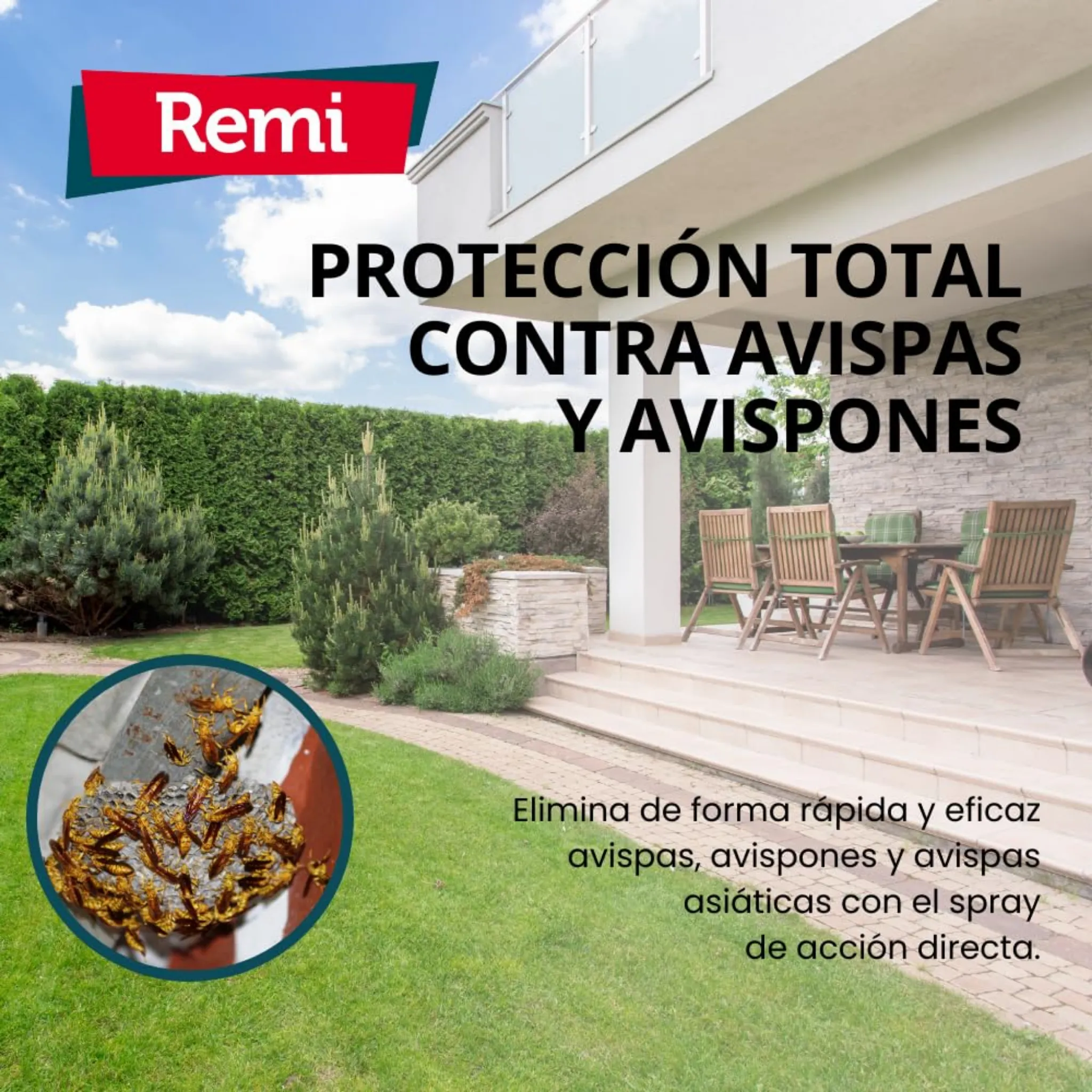 Imagen del producto 6