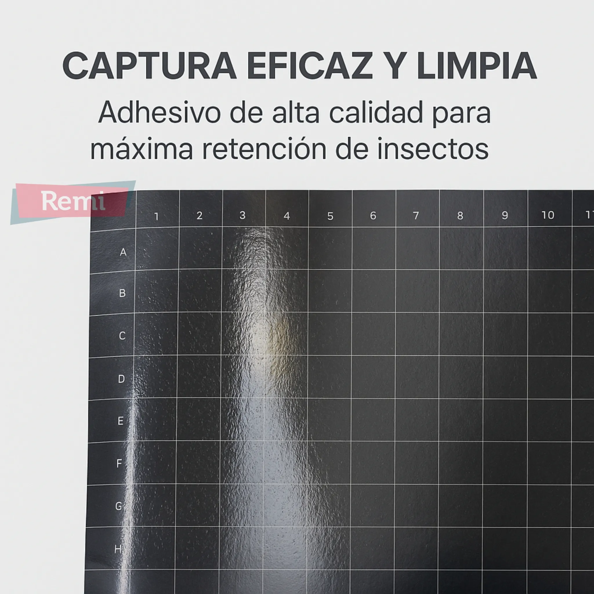 Imagen del producto 5