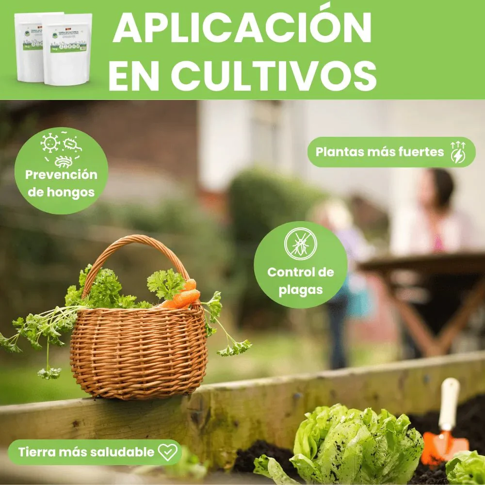 Imagen del producto 7
