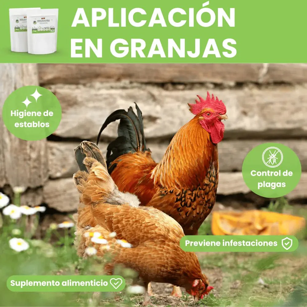 Imagen del producto 8