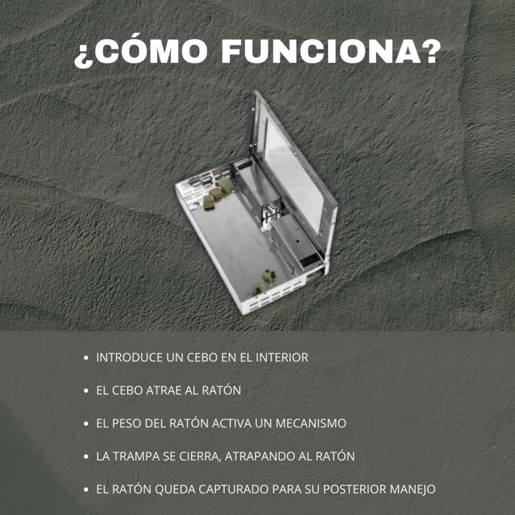 Imagen del producto 6