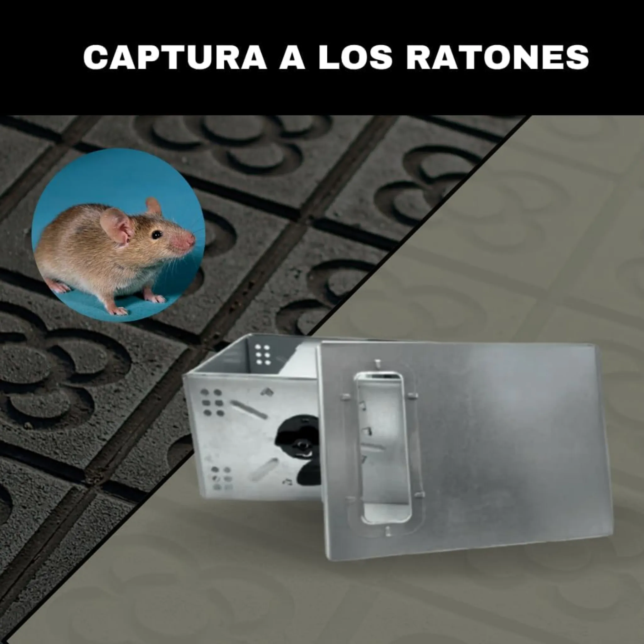 Imagen del producto 6