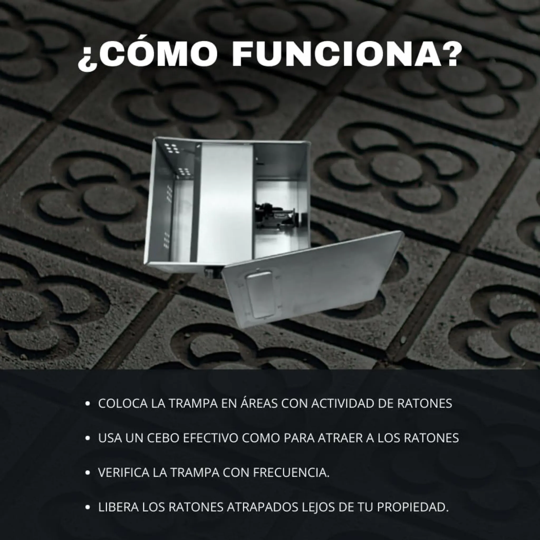 Imagen del producto 7