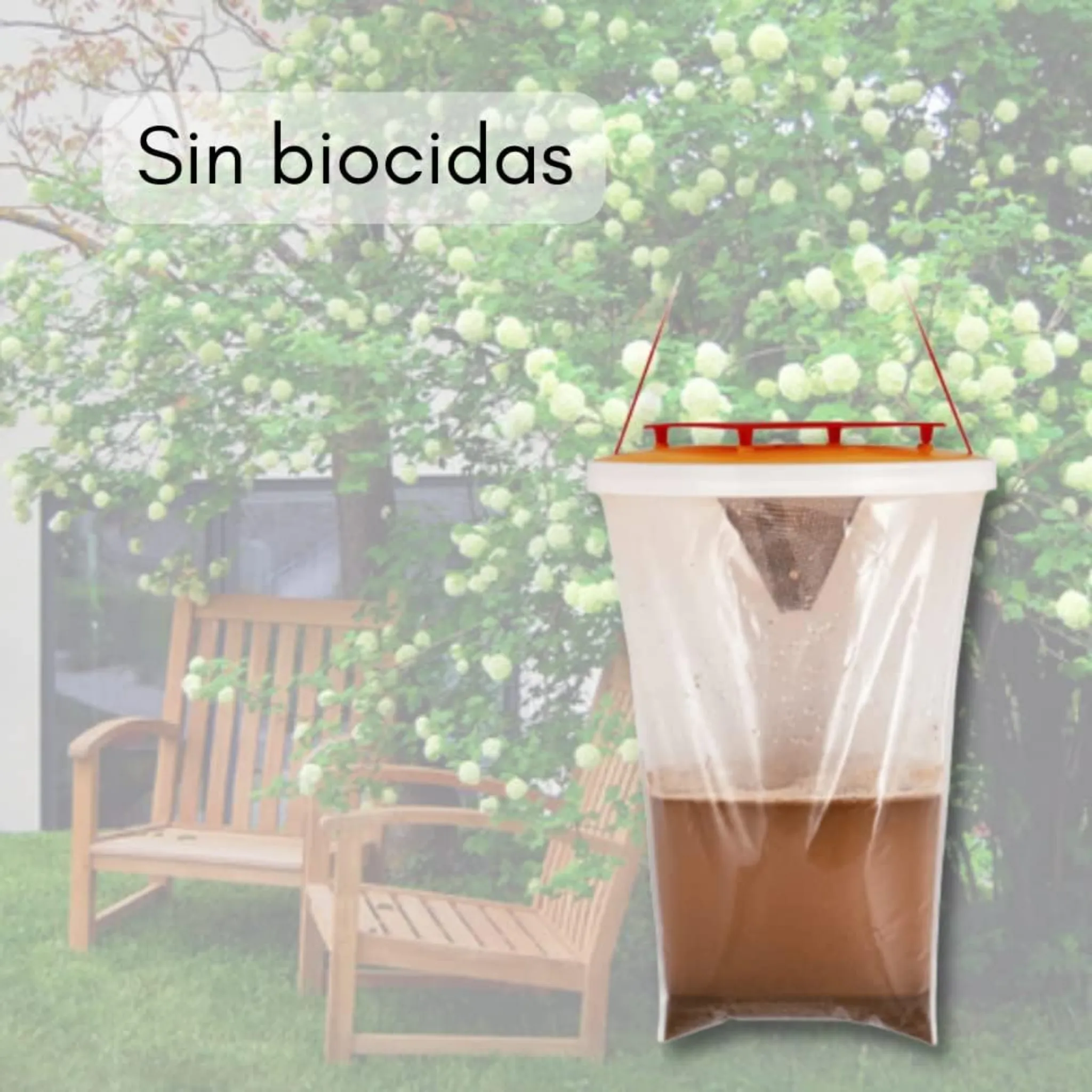 Imagen del producto 6