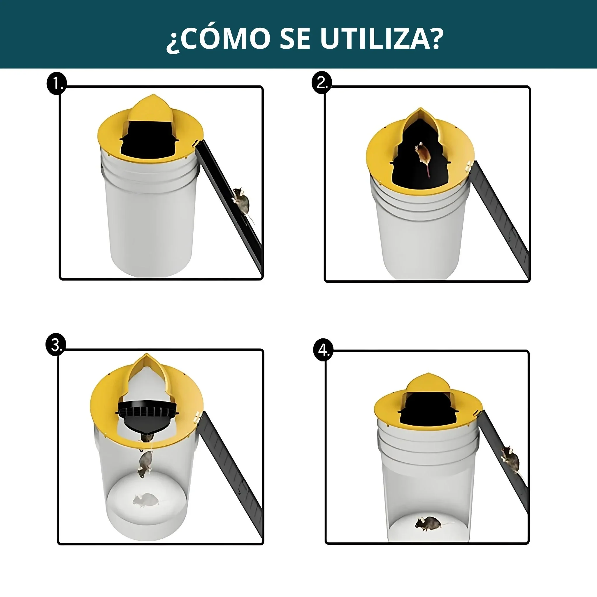 Imagen del producto 3
