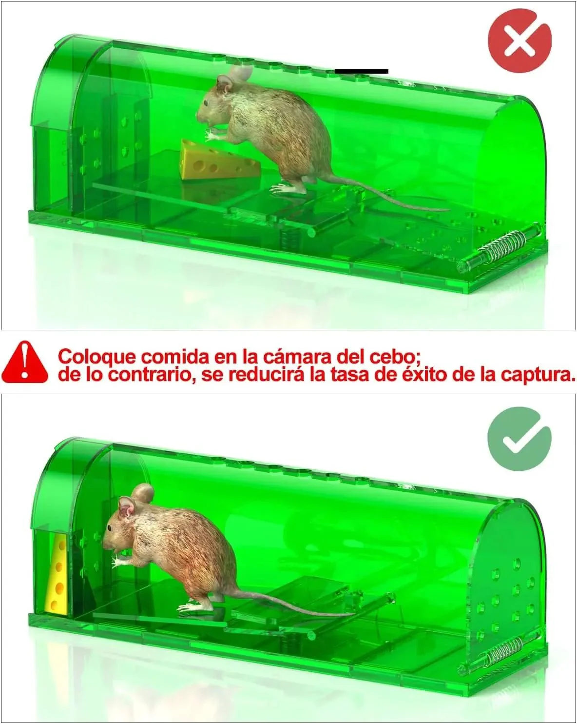 Imagen del producto 3