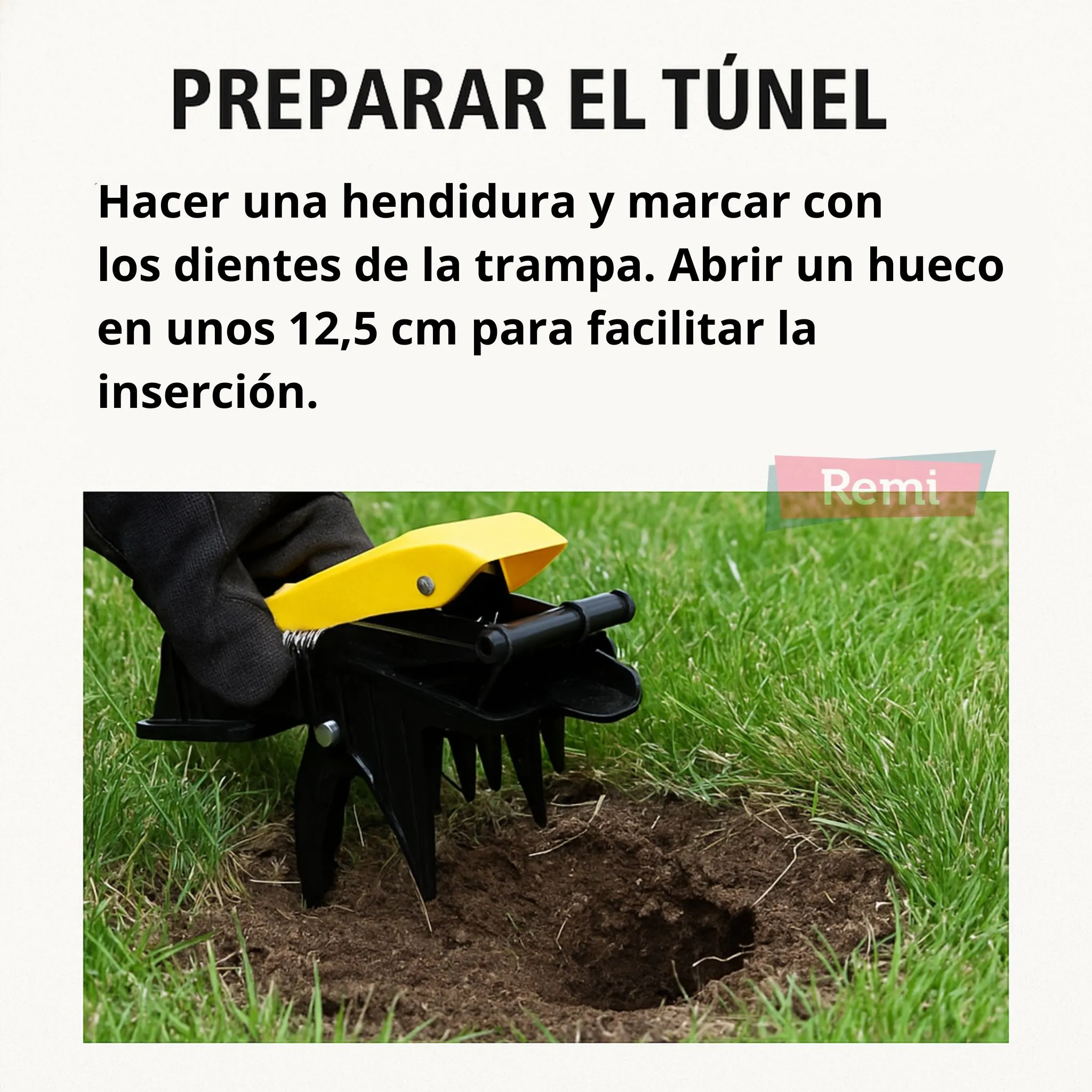 Imagen del producto 4