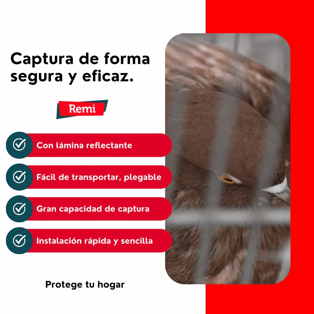 Imagen del producto 5